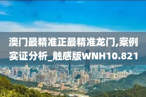 澳门最精准正最精准龙门,案例实证分析_触感版WNH10.821