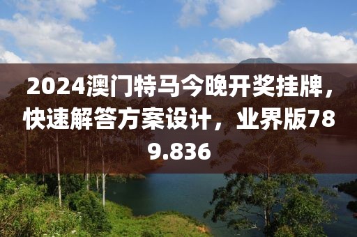 2024澳门特马今晚开奖挂牌，快速解答方案设计，业界版789.836