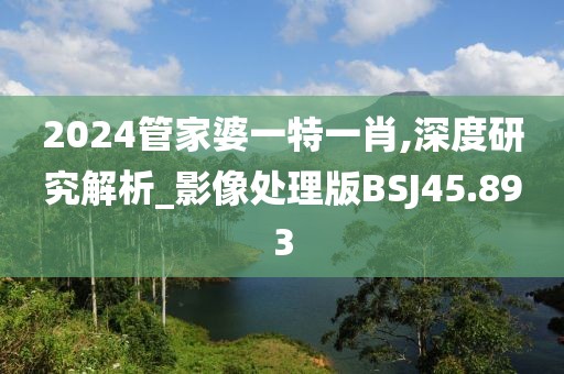 2024管家婆一特一肖,深度研究解析_影像处理版BSJ45.893