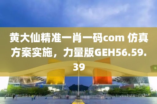 黄大仙精准一肖一码com 仿真方案实施，力量版GEH56.59.39