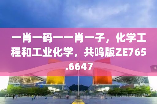 一肖一码一一肖一子，化学工程和工业化学，共鸣版ZE765.6647