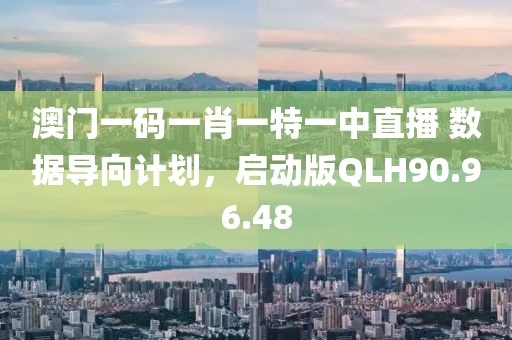 澳门一码一肖一特一中直播 数据导向计划，启动版QLH90.96.48