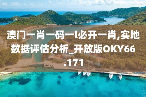 澳门一肖一码一l必开一肖,实地数据评估分析_开放版OKY66.171