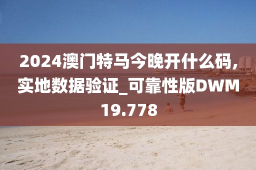 2024澳门特马今晚开什么码,实地数据验证_可靠性版DWM19.778