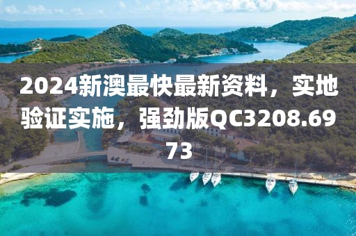 2024新澳最快最新资料，实地验证实施，强劲版QC3208.6973