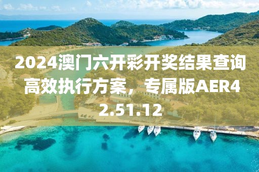 2024澳门六开彩开奖结果查询 高效执行方案，专属版AER42.51.12