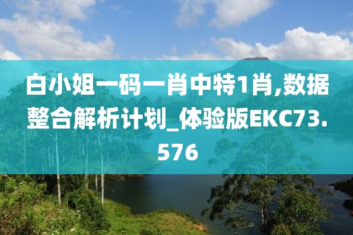 白小姐一码一肖中特1肖,数据整合解析计划_体验版EKC73.576