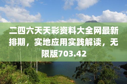二四六天天彩资料大全网最新排期，实地应用实践解读，无限版703.42