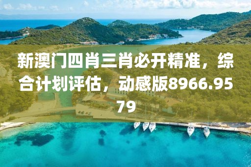 新澳门四肖三肖必开精准，综合计划评估，动感版8966.9579