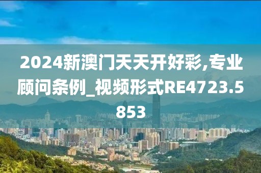 史媛 第3页