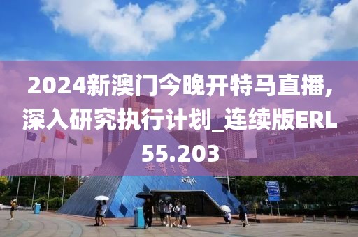2024新澳门今晚开特马直播,深入研究执行计划_连续版ERL55.203