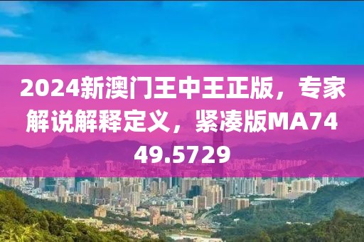 2024新澳门王中王正版，专家解说解释定义，紧凑版MA7449.5729