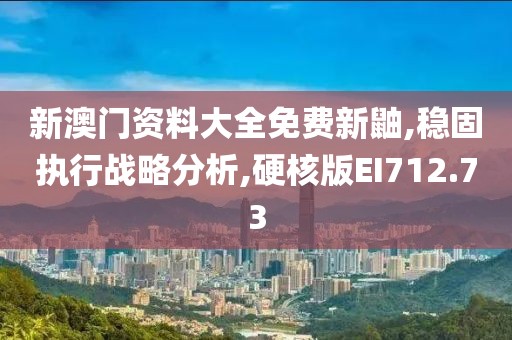 新澳门资料大全免费新鼬,稳固执行战略分析,硬核版EI712.73