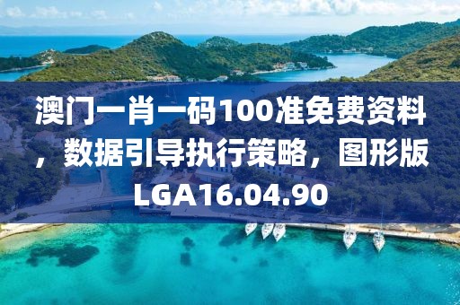 澳门一肖一码100准免费资料，数据引导执行策略，图形版LGA16.04.90