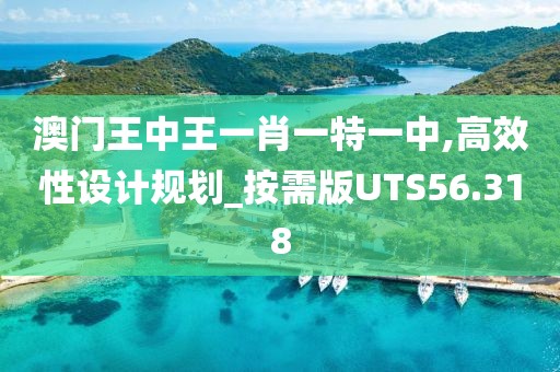 澳门王中王一肖一特一中,高效性设计规划_按需版UTS56.318