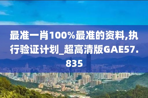 最准一肖100%最准的资料,执行验证计划_超高清版GAE57.835