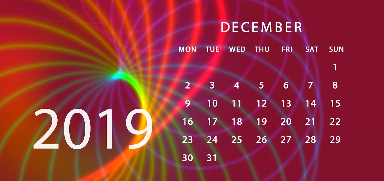 2024澳门天天开好彩大全app，科学依据解析，家庭版299.4107