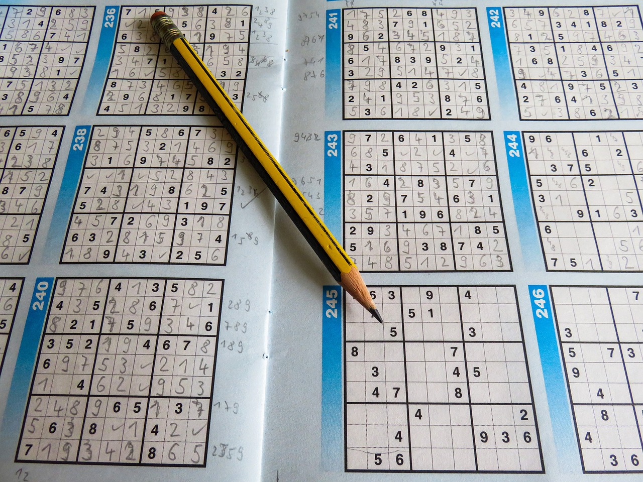 2024新澳门今晚开特马直播,精准解答方案详解_运动版DFC40.51